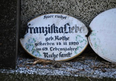 Lužice u Mostu, Omnium, 2018