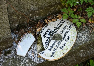 Lužice u Mostu, Omnium, 2018