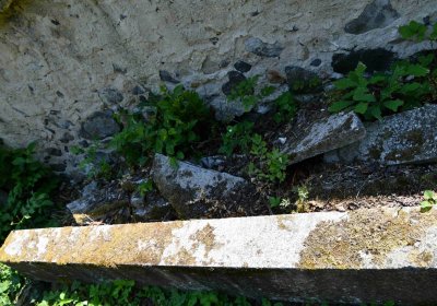 Lužice u Mostu, Omnium, 2018