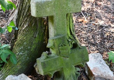 Lužice u Mostu, Omnium, 2018