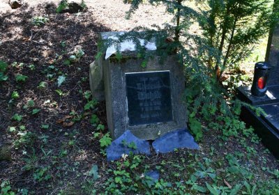 Lužice u Mostu, Omnium, 2018