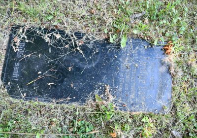 Lužice u Mostu, Omnium, 2018