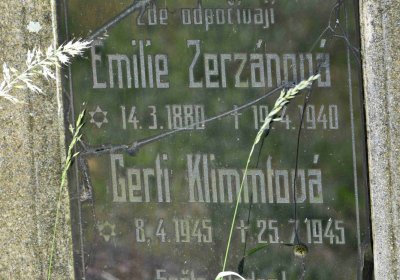 Lužice u Mostu, Omnium, 2018