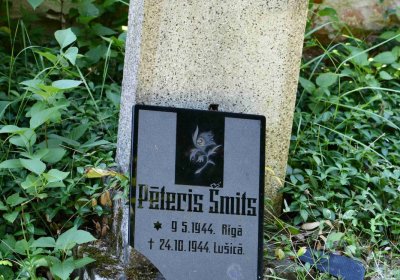 Lužice u Mostu, Omnium, 2018