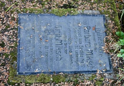 Lužice u Mostu, Omnium, 2018