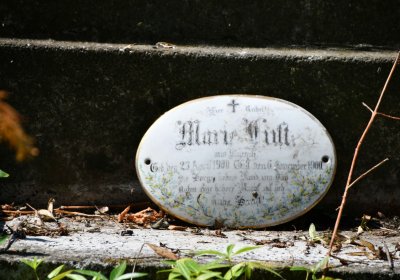 Lužice u Mostu, Omnium, 2018