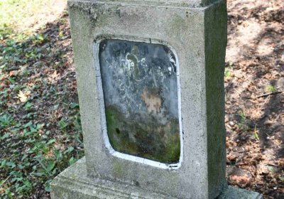 Lužice u Mostu, Omnium, 2018