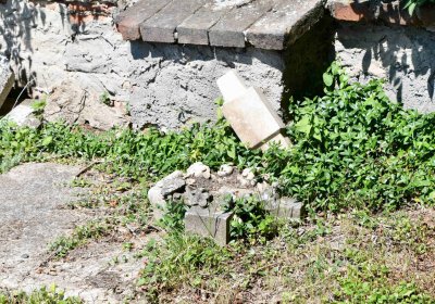 Lužice u Mostu, Omnium, 2018