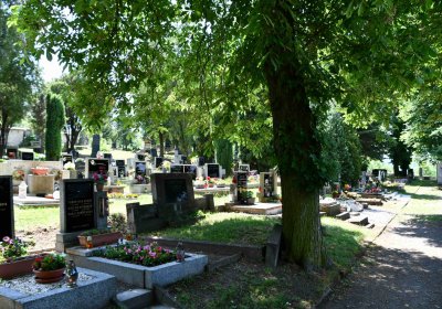 Lužice u Mostu, Omnium, 2018