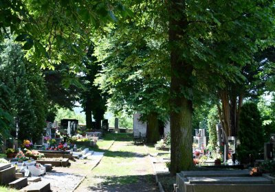 Lužice u Mostu, Omnium, 2018