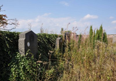 Malý Háj, Omnium, 2018