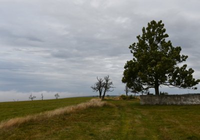 Malý Háj, Omnium, 2020