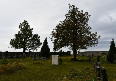 Malý Háj, Omnium, 2020