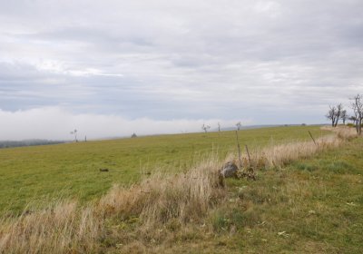 Malý Háj, Omnium, 2020