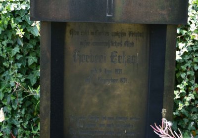 Malý Háj, Omnium, 2018