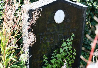 Malý Háj, Omnium, 2018