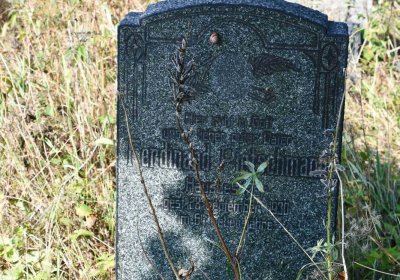 Malý Háj, Omnium, 2018