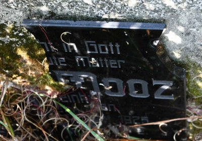 Malý Háj, Omnium, 2018