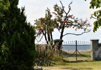 Malý Háj, Omnium, 2018