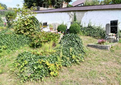 Mikulov v Krušných horách, Omnium, 2018