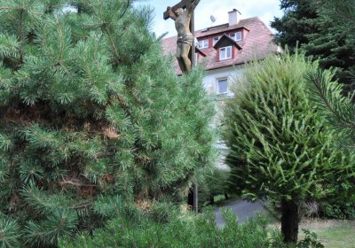 Mikulov v Krušných horách, Omnium, 2018