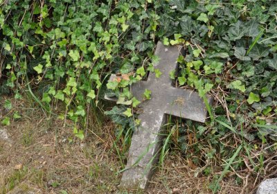 Mikulov v Krušných horách, Omnium, 2018