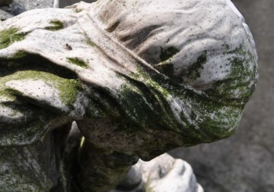 Mikulov v Krušných horách, Omnium, 2018