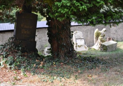 Mikulov v Krušných horách, Omnium, 2018