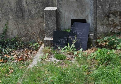 Mikulov v Krušných horách, Omnium, 2018