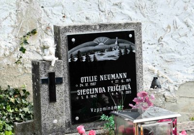 Mikulov v Krušných horách, Omnium, 2018