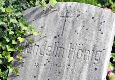 Mikulov v Krušných horách, Omnium, 2018