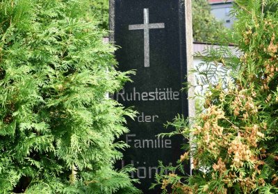 Mikulov v Krušných horách, Omnium, 2018