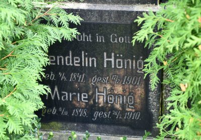 Mikulov v Krušných horách, Omnium, 2018