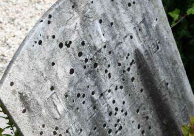 Mikulov v Krušných horách, Omnium, 2018