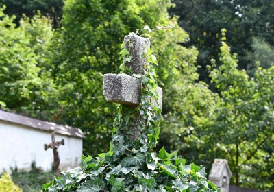 Mikulov v Krušných horách, Omnium, 2018