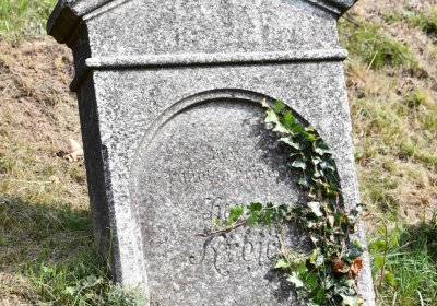 Mikulov v Krušných horách, Omnium, 2018