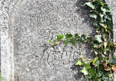 Mikulov v Krušných horách, Omnium, 2018