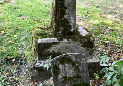 Mikulov v Krušných horách, Omnium, 2018