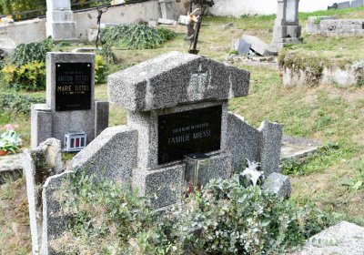 Mikulov v Krušných horách, Omnium, 2018