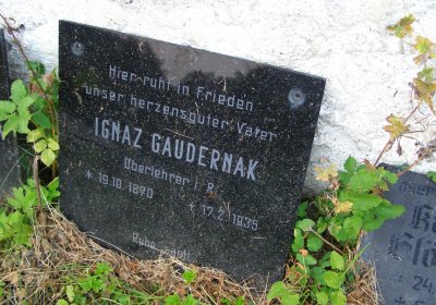 Kmínek Michal, 2020