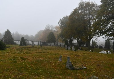 Nová Ves v Horách, Omnium, 2020