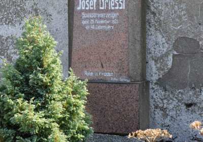 Nová Ves v Horách, Omnium, 2018