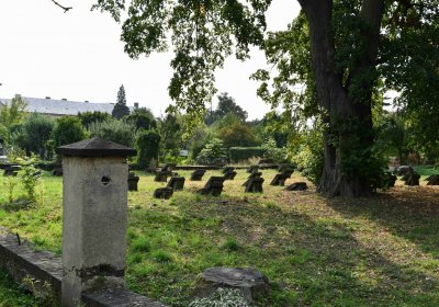Osek opatstký hřbitov, Omnium, 2018