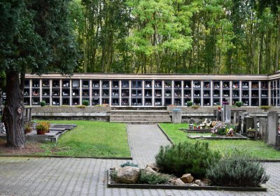 Světec, Omnium, 2020