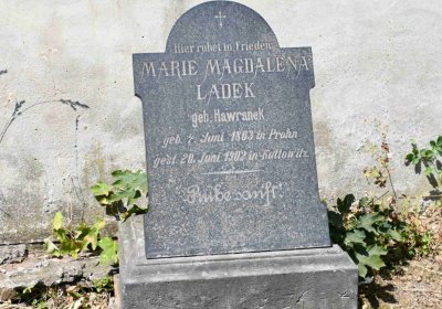 Světec, Omnium, 2018