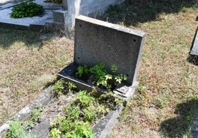 Světec, Omnium, 2018