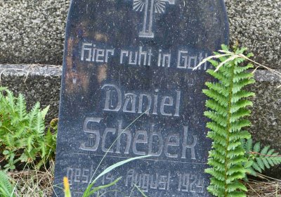 Světec, Omnium, 2018