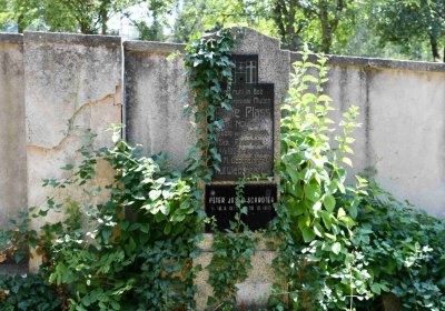 Světec, Omnium, 2018