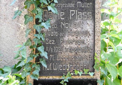 Světec, Omnium, 2018