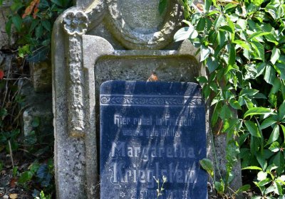 Světec, Omnium, 2018